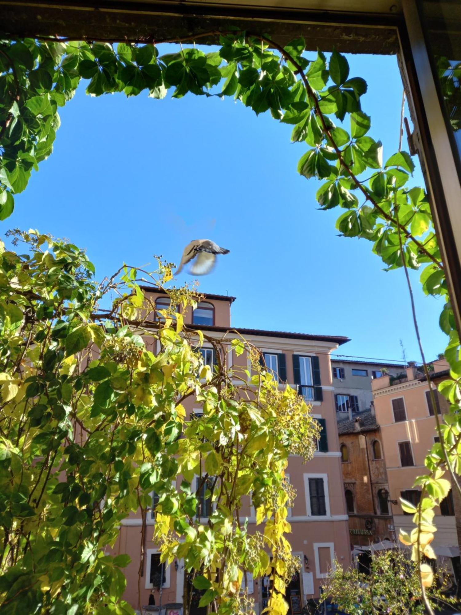 Central Apartment In Trastevere ローマ 部屋 写真